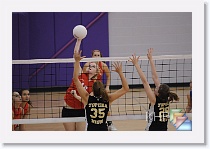 vs THigh * (342 Slides)